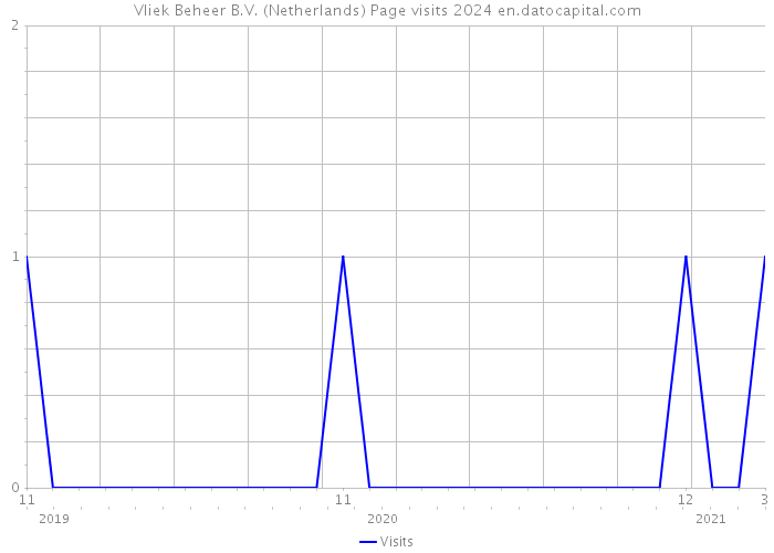 Vliek Beheer B.V. (Netherlands) Page visits 2024 