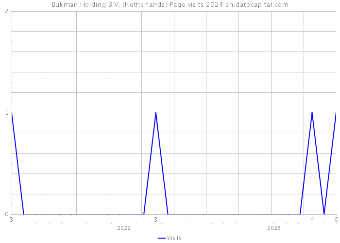 Bukman Holding B.V. (Netherlands) Page visits 2024 
