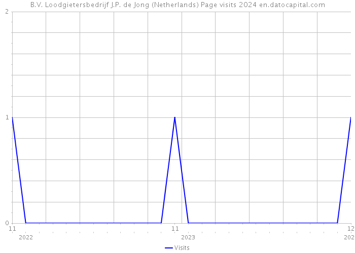 B.V. Loodgietersbedrijf J.P. de Jong (Netherlands) Page visits 2024 