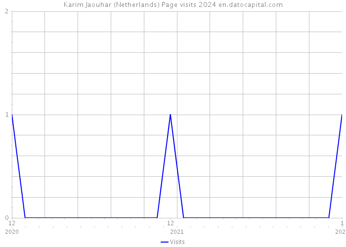 Karim Jaouhar (Netherlands) Page visits 2024 