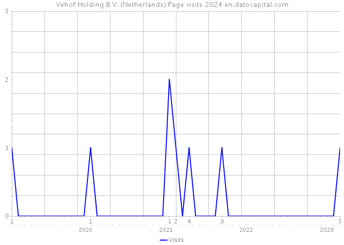 Vehof Holding B.V. (Netherlands) Page visits 2024 
