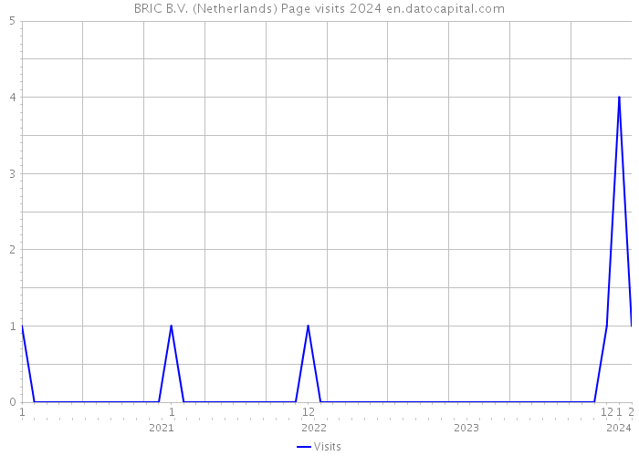 BRIC B.V. (Netherlands) Page visits 2024 