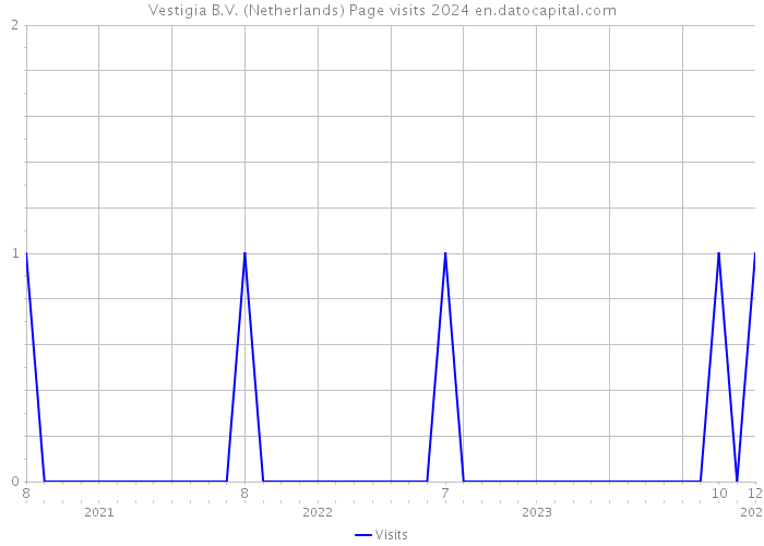 Vestigia B.V. (Netherlands) Page visits 2024 