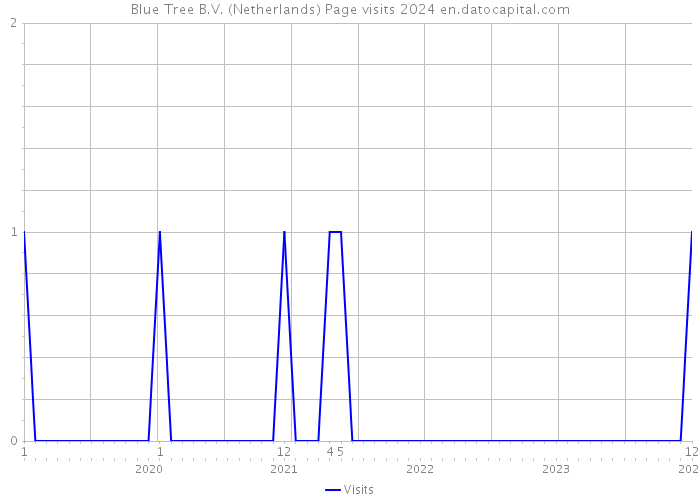 Blue Tree B.V. (Netherlands) Page visits 2024 