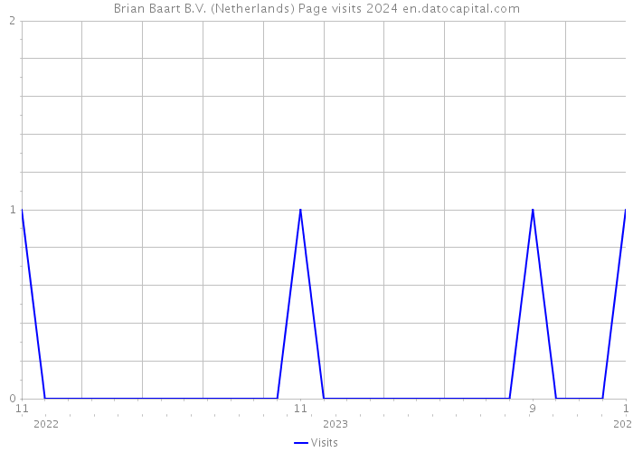 Brian Baart B.V. (Netherlands) Page visits 2024 