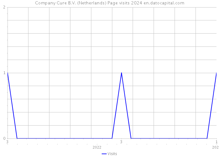 Company Cure B.V. (Netherlands) Page visits 2024 