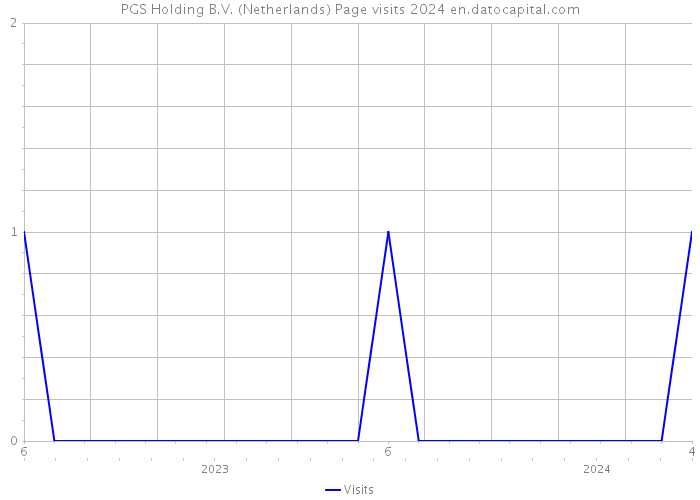 PGS Holding B.V. (Netherlands) Page visits 2024 