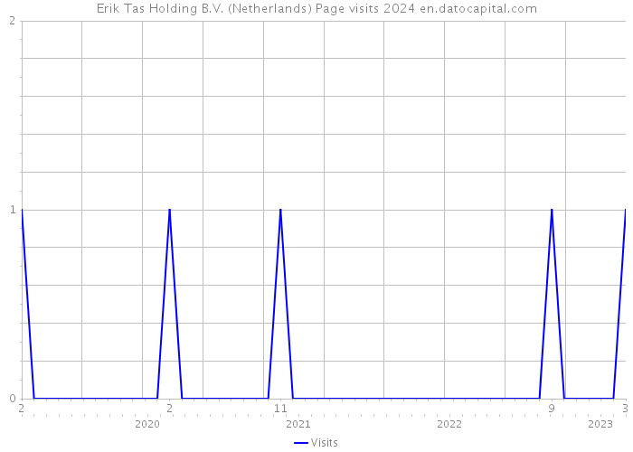 Erik Tas Holding B.V. (Netherlands) Page visits 2024 
