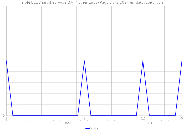 Triple EEE Shared Services B.V (Netherlands) Page visits 2024 