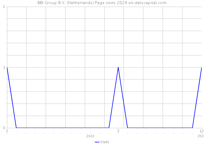 BBI Group B.V. (Netherlands) Page visits 2024 