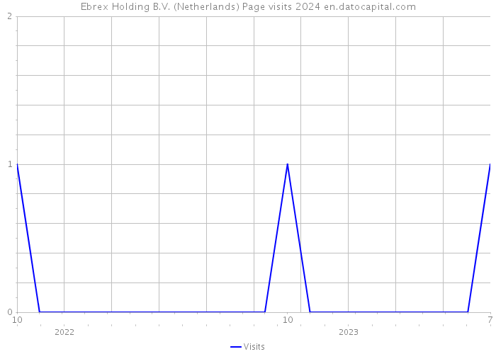 Ebrex Holding B.V. (Netherlands) Page visits 2024 