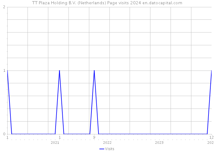 TT Plaza Holding B.V. (Netherlands) Page visits 2024 