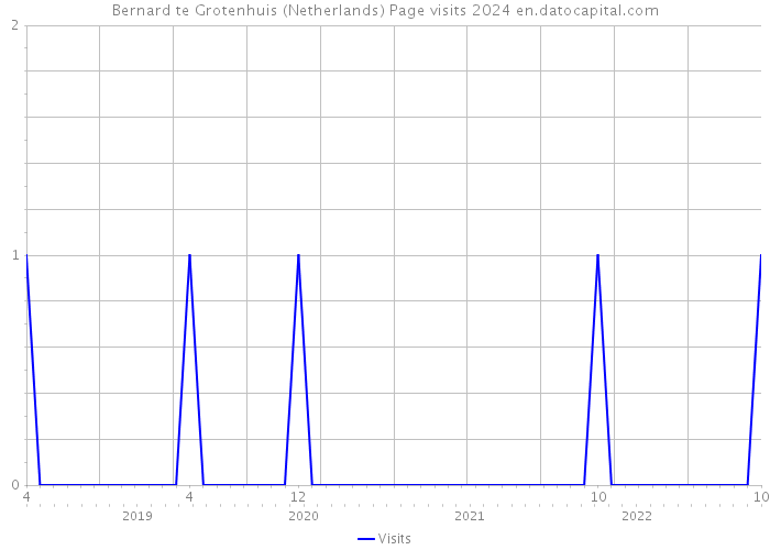 Bernard te Grotenhuis (Netherlands) Page visits 2024 