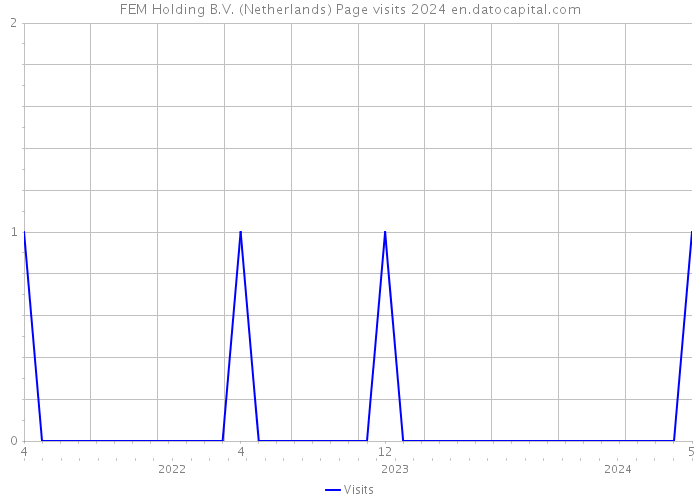 FEM Holding B.V. (Netherlands) Page visits 2024 