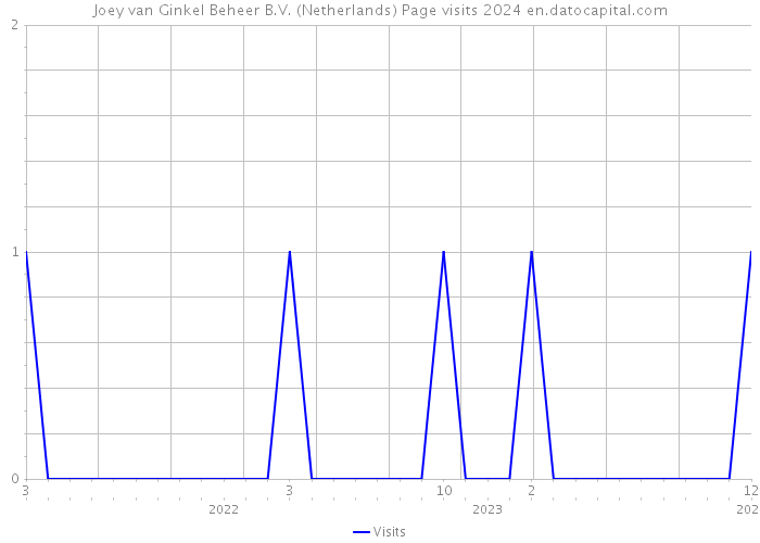 Joey van Ginkel Beheer B.V. (Netherlands) Page visits 2024 