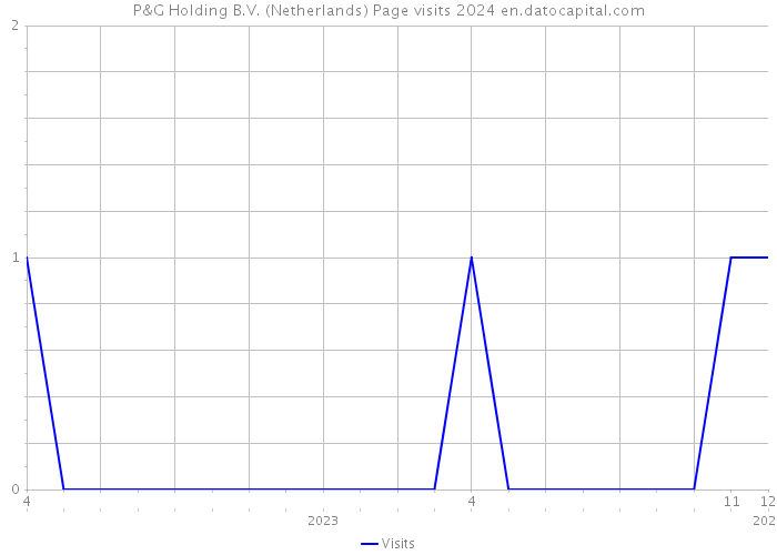 P&G Holding B.V. (Netherlands) Page visits 2024 