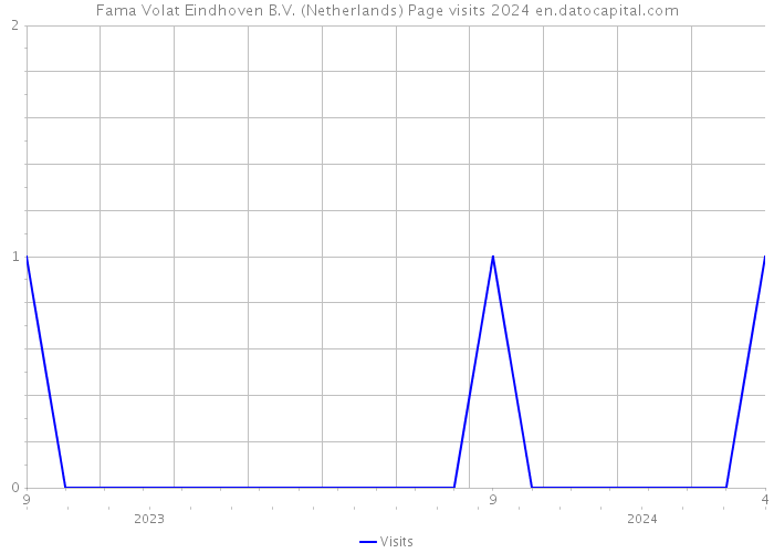 Fama Volat Eindhoven B.V. (Netherlands) Page visits 2024 