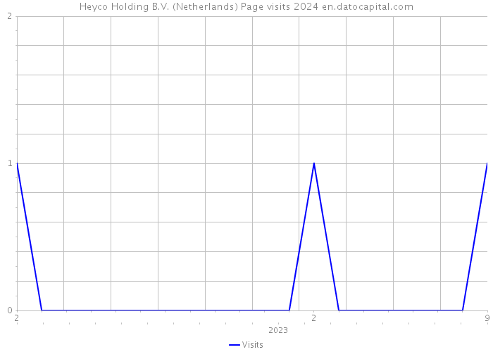 Heyco Holding B.V. (Netherlands) Page visits 2024 