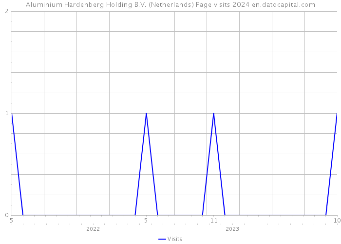 Aluminium Hardenberg Holding B.V. (Netherlands) Page visits 2024 