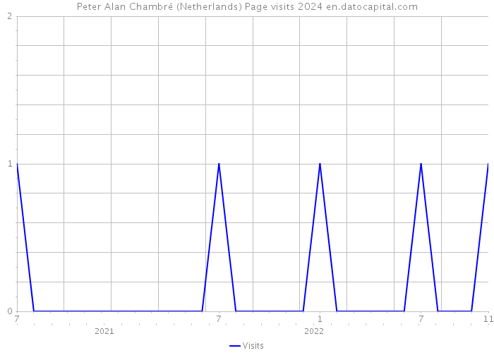 Peter Alan Chambré (Netherlands) Page visits 2024 