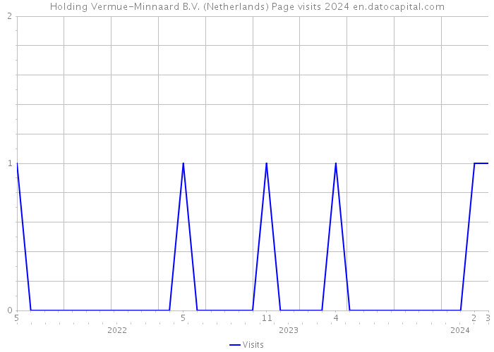 Holding Vermue-Minnaard B.V. (Netherlands) Page visits 2024 