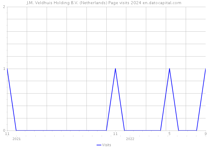 J.M. Veldhuis Holding B.V. (Netherlands) Page visits 2024 