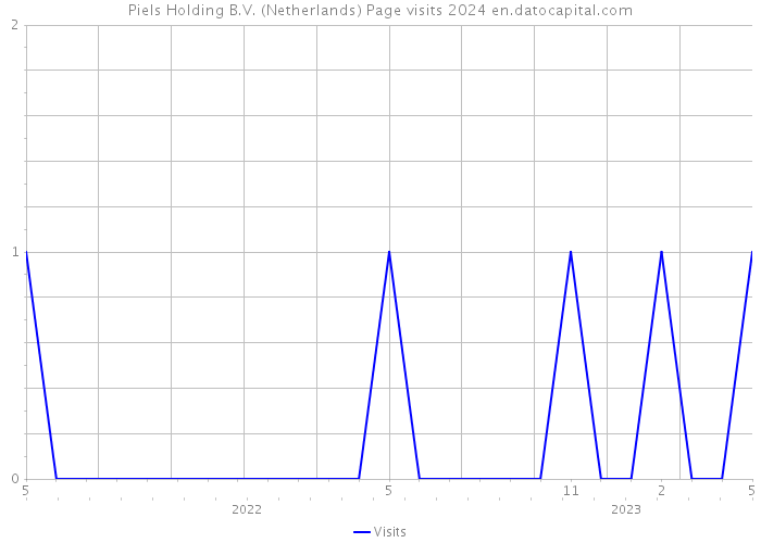 Piels Holding B.V. (Netherlands) Page visits 2024 