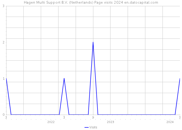 Hagen Multi Support B.V. (Netherlands) Page visits 2024 