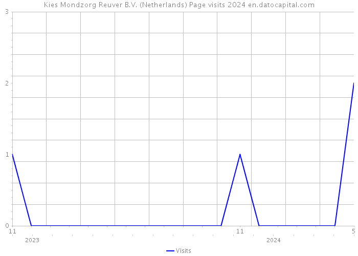 Kies Mondzorg Reuver B.V. (Netherlands) Page visits 2024 