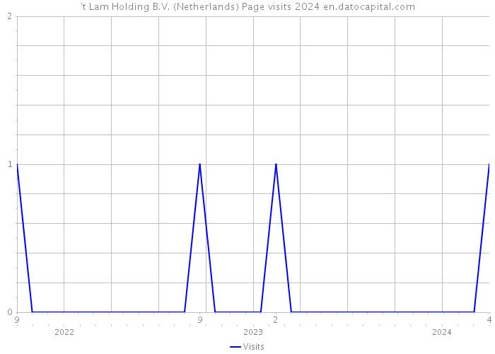 't Lam Holding B.V. (Netherlands) Page visits 2024 