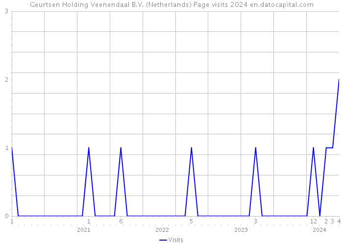 Geurtsen Holding Veenendaal B.V. (Netherlands) Page visits 2024 