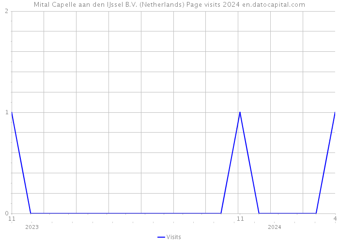 Mital Capelle aan den IJssel B.V. (Netherlands) Page visits 2024 