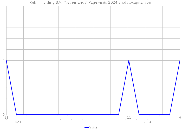 Rebin Holding B.V. (Netherlands) Page visits 2024 