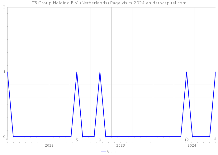TB Group Holding B.V. (Netherlands) Page visits 2024 
