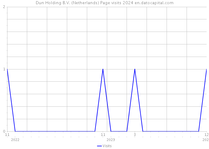 Dun Holding B.V. (Netherlands) Page visits 2024 
