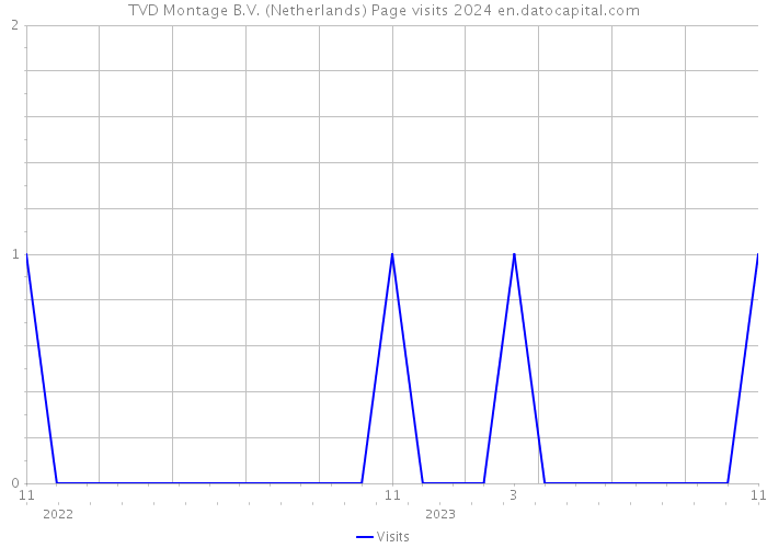 TVD Montage B.V. (Netherlands) Page visits 2024 