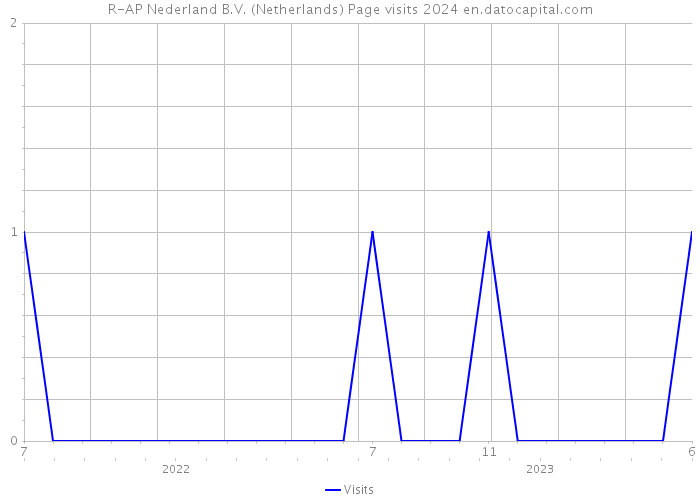 R-AP Nederland B.V. (Netherlands) Page visits 2024 