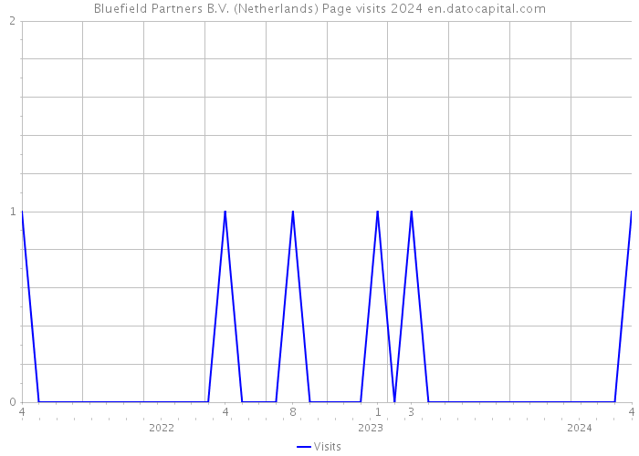 Bluefield Partners B.V. (Netherlands) Page visits 2024 