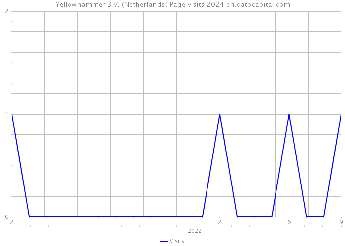 Yellowhammer B.V. (Netherlands) Page visits 2024 