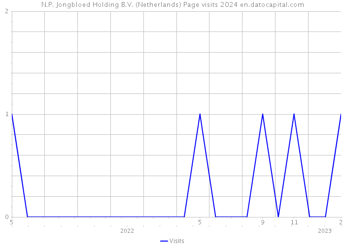 N.P. Jongbloed Holding B.V. (Netherlands) Page visits 2024 