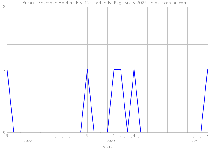 Busak + Shamban Holding B.V. (Netherlands) Page visits 2024 
