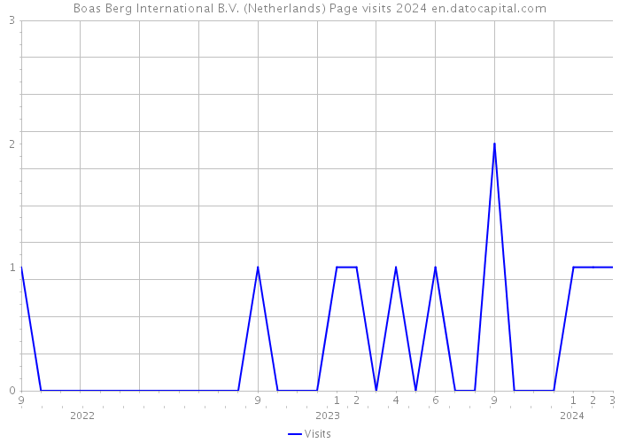 Boas Berg International B.V. (Netherlands) Page visits 2024 