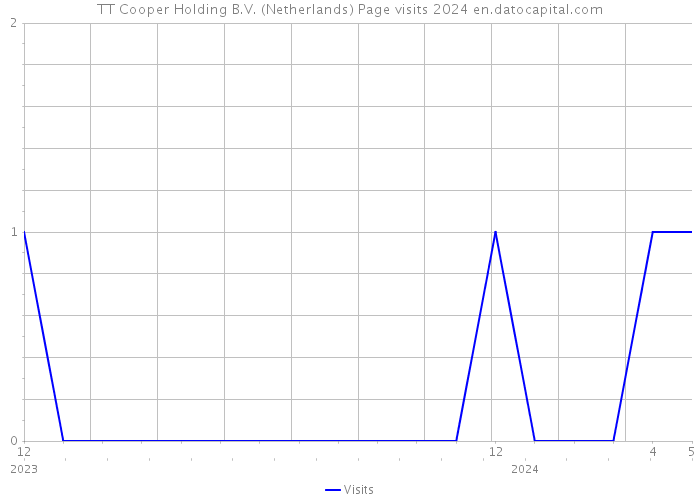 TT Cooper Holding B.V. (Netherlands) Page visits 2024 