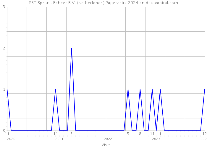SST Spronk Beheer B.V. (Netherlands) Page visits 2024 