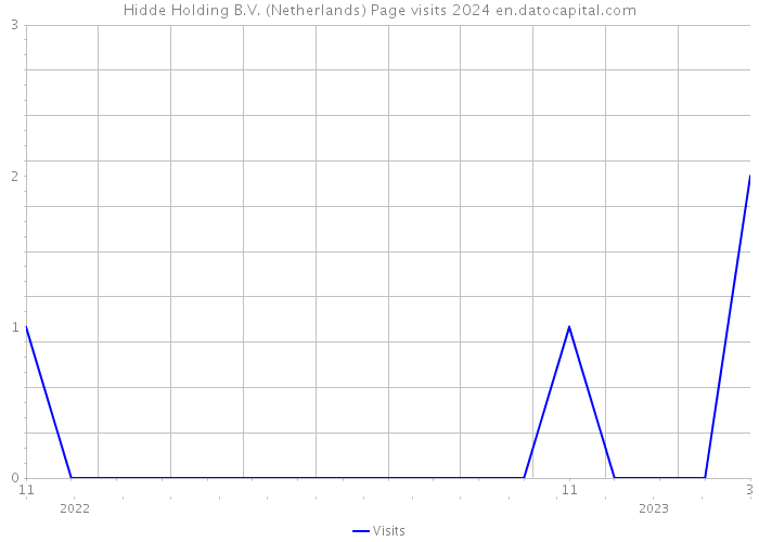 Hidde Holding B.V. (Netherlands) Page visits 2024 