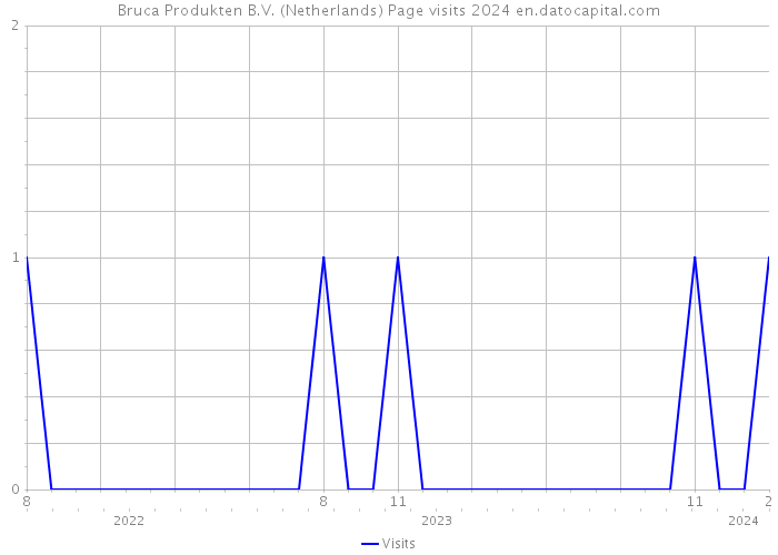 Bruca Produkten B.V. (Netherlands) Page visits 2024 