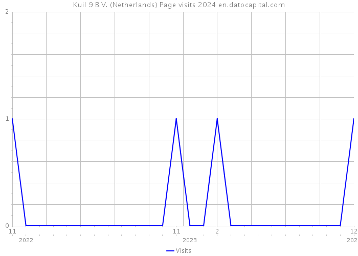 Kuil 9 B.V. (Netherlands) Page visits 2024 