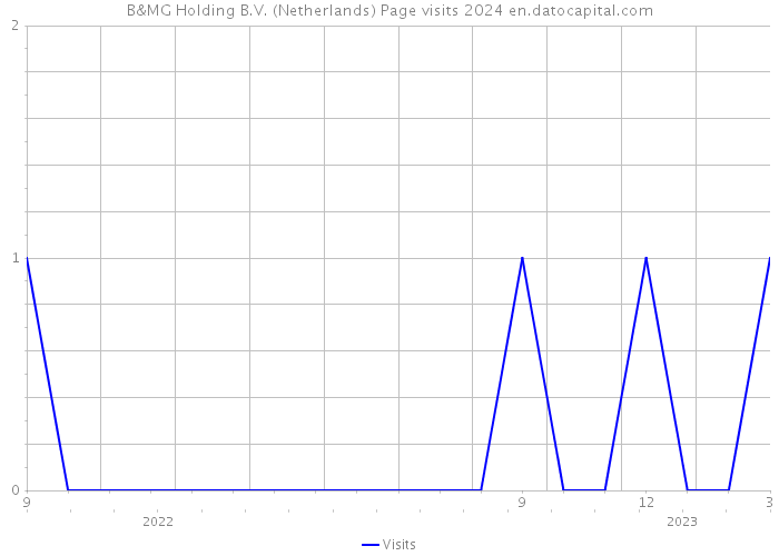 B&MG Holding B.V. (Netherlands) Page visits 2024 