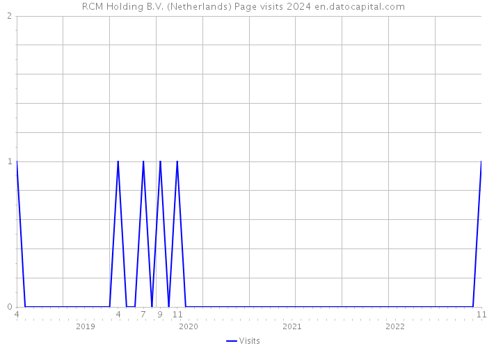 RCM Holding B.V. (Netherlands) Page visits 2024 