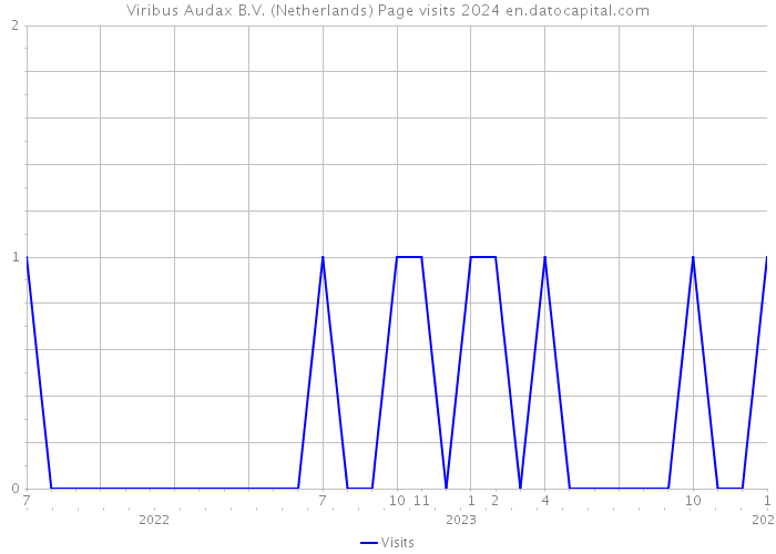 Viribus Audax B.V. (Netherlands) Page visits 2024 